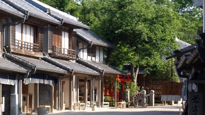 能からアナウンサーへ