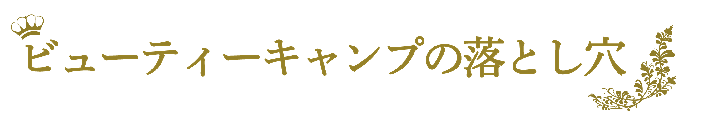 ビューティーキャンプ