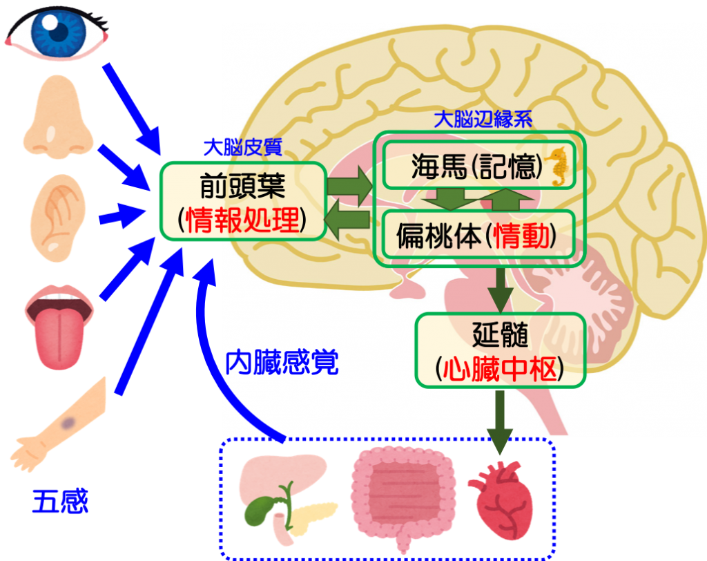 こころ はどこにある コトバ3